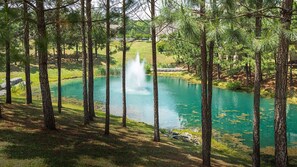 Um lago calmo rodeado por pinheiros, com uma fonte no centro.