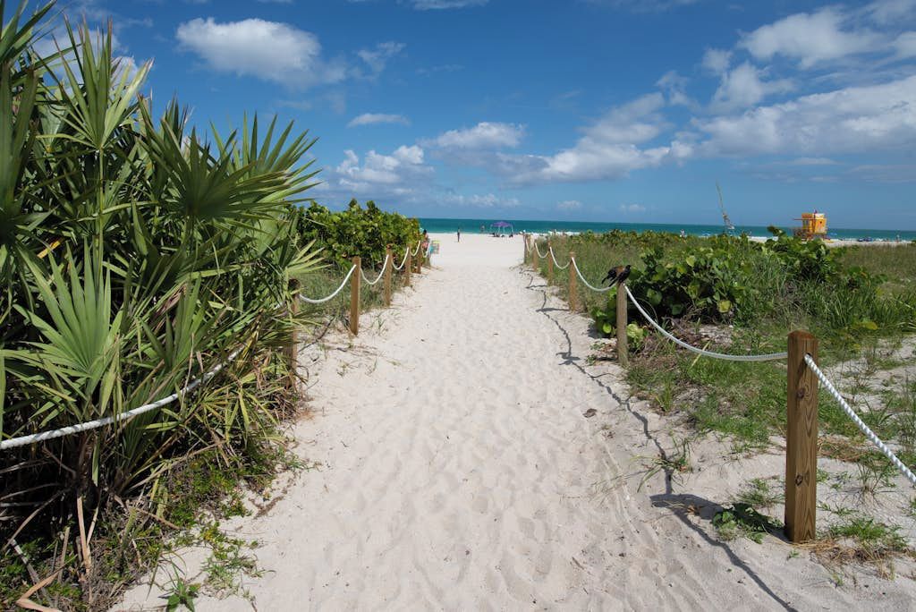 A sandy beach path leading to the ocean, surrounded by greenery and a lifeguard tower.