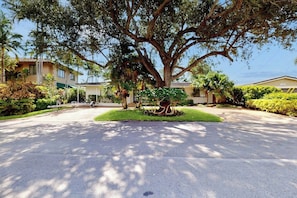 A residential area with a large tree in the center, surrounded by well-maintained lawns and a paved driveway. - Middle River Lookout (Fort Lauderdale)