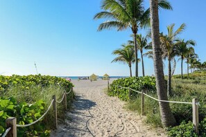 Ein Sandweg am Strand, gesäumt von Palmen und Vegetation.