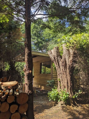 The Bird Nest at The Secret Garden