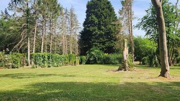 A grassy park with trees and a clear sky.
