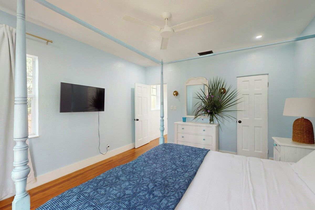 A bedroom with a bed, a television, a dresser, a mirror, and a plant.