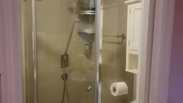 A glass-enclosed shower stall with a handheld showerhead, a toilet, and a small cabinet with a toilet paper holder.