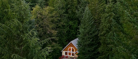 A cabin surrounded by dense forest with a mountain backdrop.