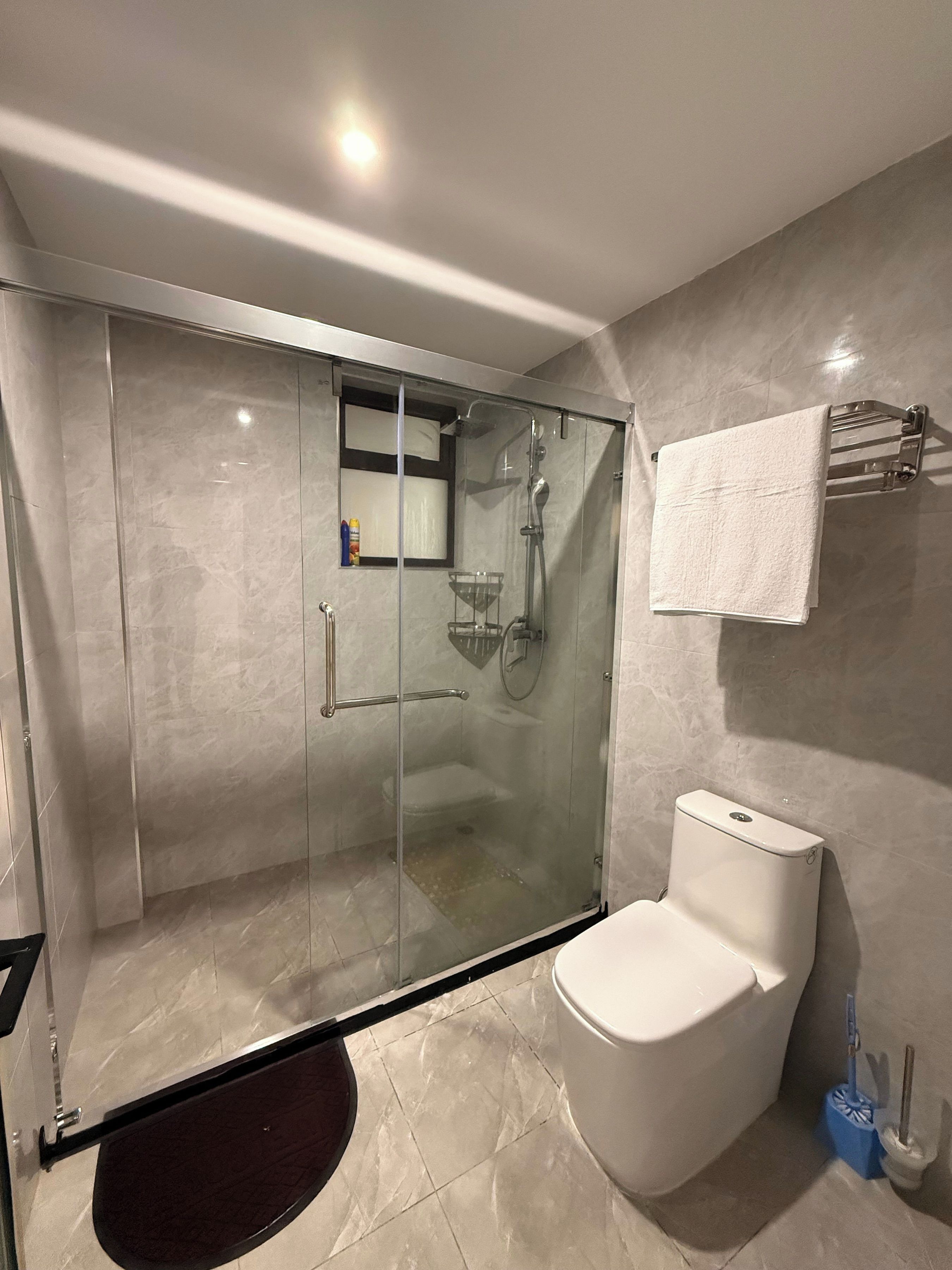 A modern bathroom with a glass-enclosed shower, a toilet, and a towel rack.