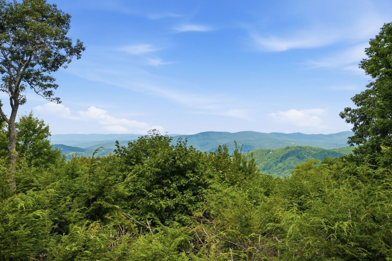 A forested landscape with a clear sky.