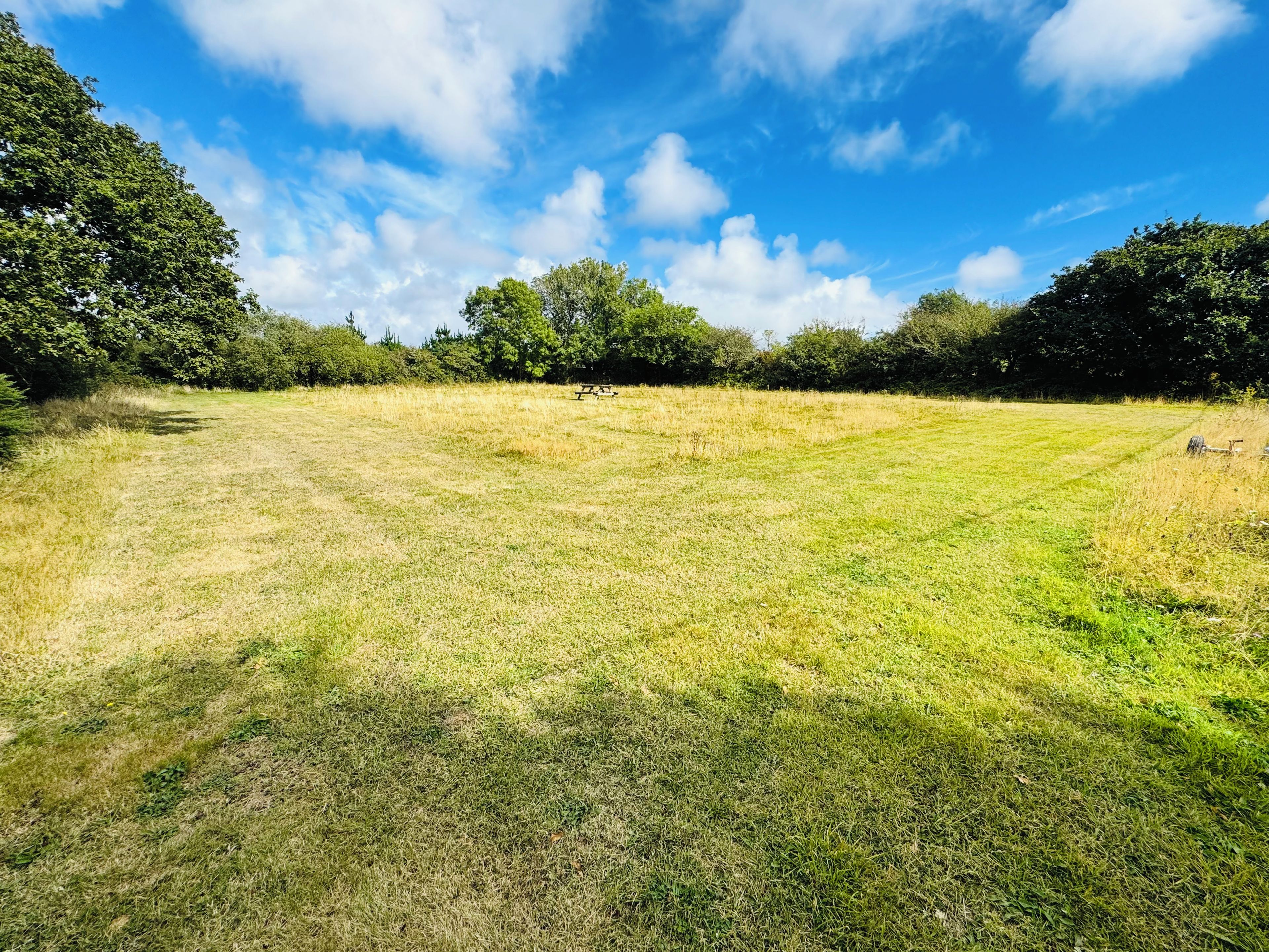 A grassy field with a picnic table and trees in the background.