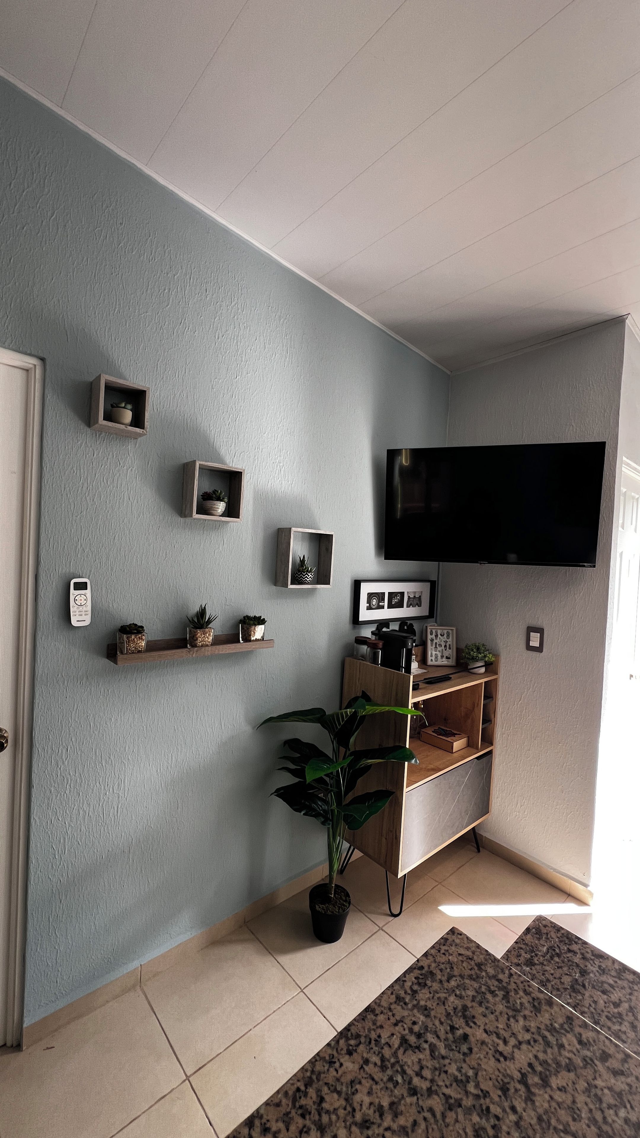 Ein Wohnzimmer mit einem flachbildfernseher an der Wand, einem Blumentopf und einem Holzboden mit Dekoration.