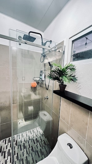 Een moderne badkamer met een douchecabine van glas, een toilet en een potplante.