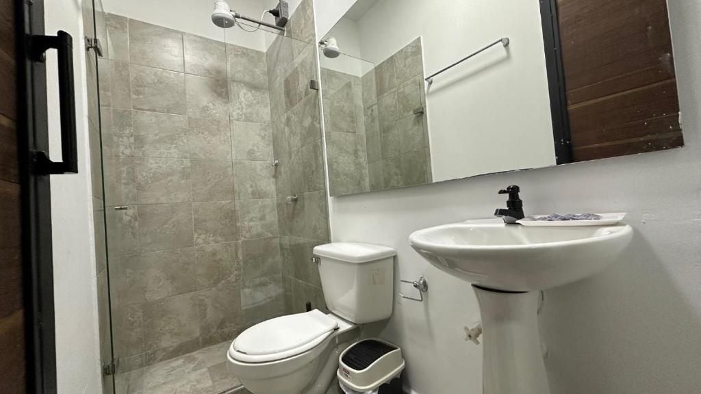 Ducha, toallas, jabón y papel higiénico