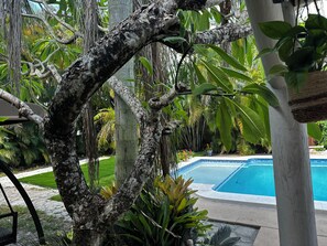 A pool surrounded by tropical vegetation and a stone pathway. - Charming pool house Hollywood, Miami (Hollywood)