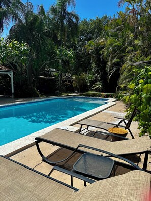 Pool - Charming pool house Hollywood, Miami (Hollywood)