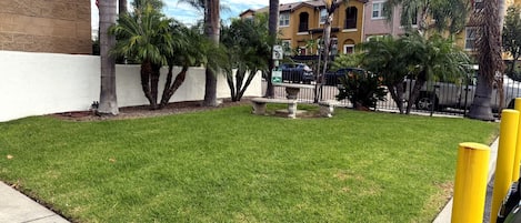A well-maintained grassy area with palm trees and a concrete wall, bordered by a sidewalk and a yellow bollard.