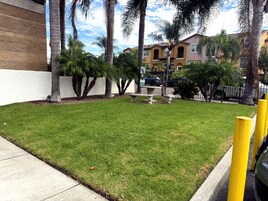 Zona verde bien cuidada con palmeras y un muro de concreto, bordeada por una acera y un bolardo amarillo.