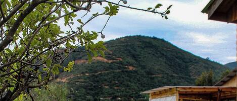 A wooden deck with a hammock, a wooden table, and a view of a mountain and a house in the background.