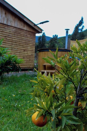 Un edificio de madera con techo inclinado, un pequeño árbol con hojas verdes y una fruta anaranjada, y una zona cubierta de césped.