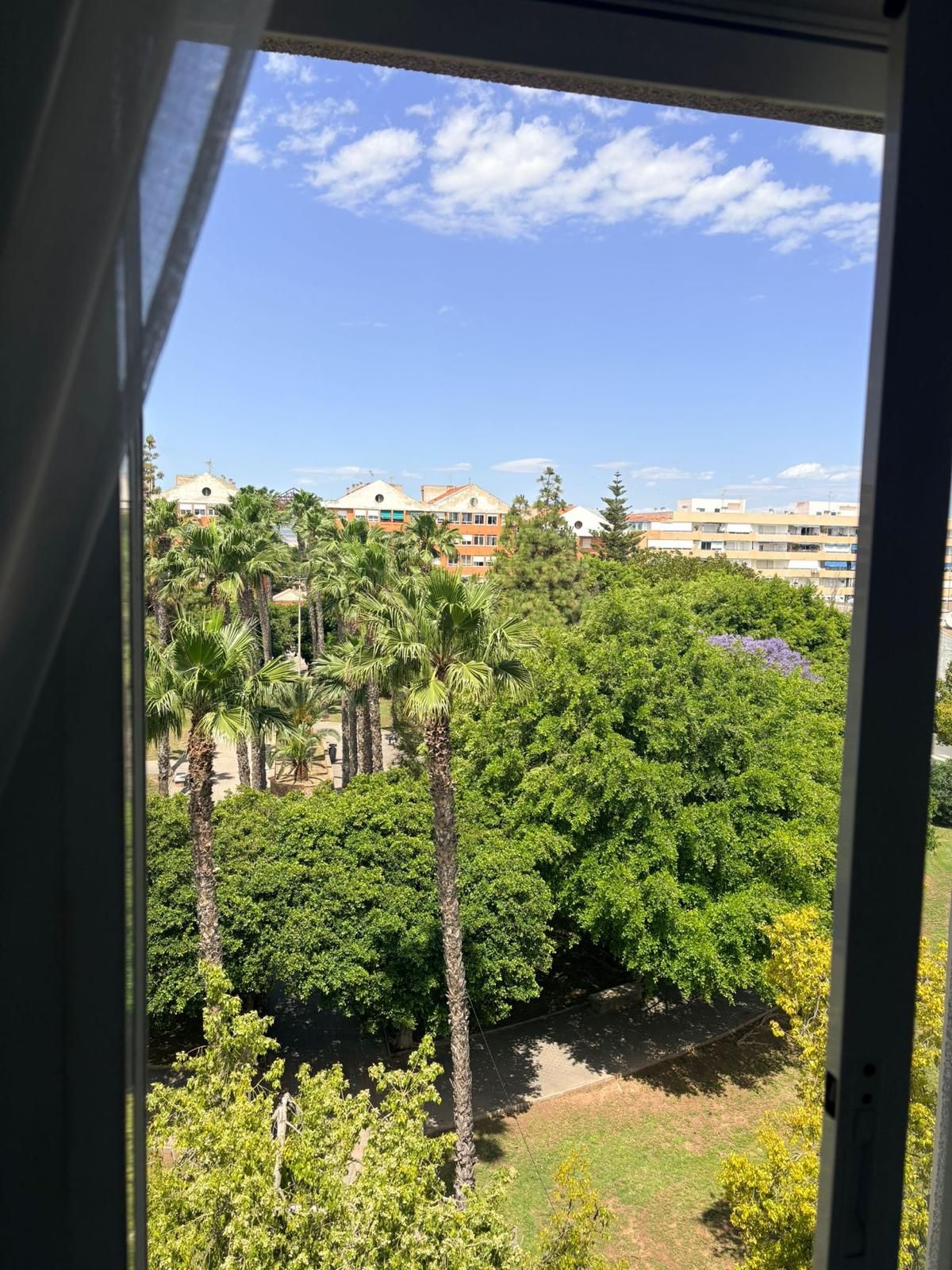 A view through a window of a residential area with multiple buildings, palm trees, and a clear sky.