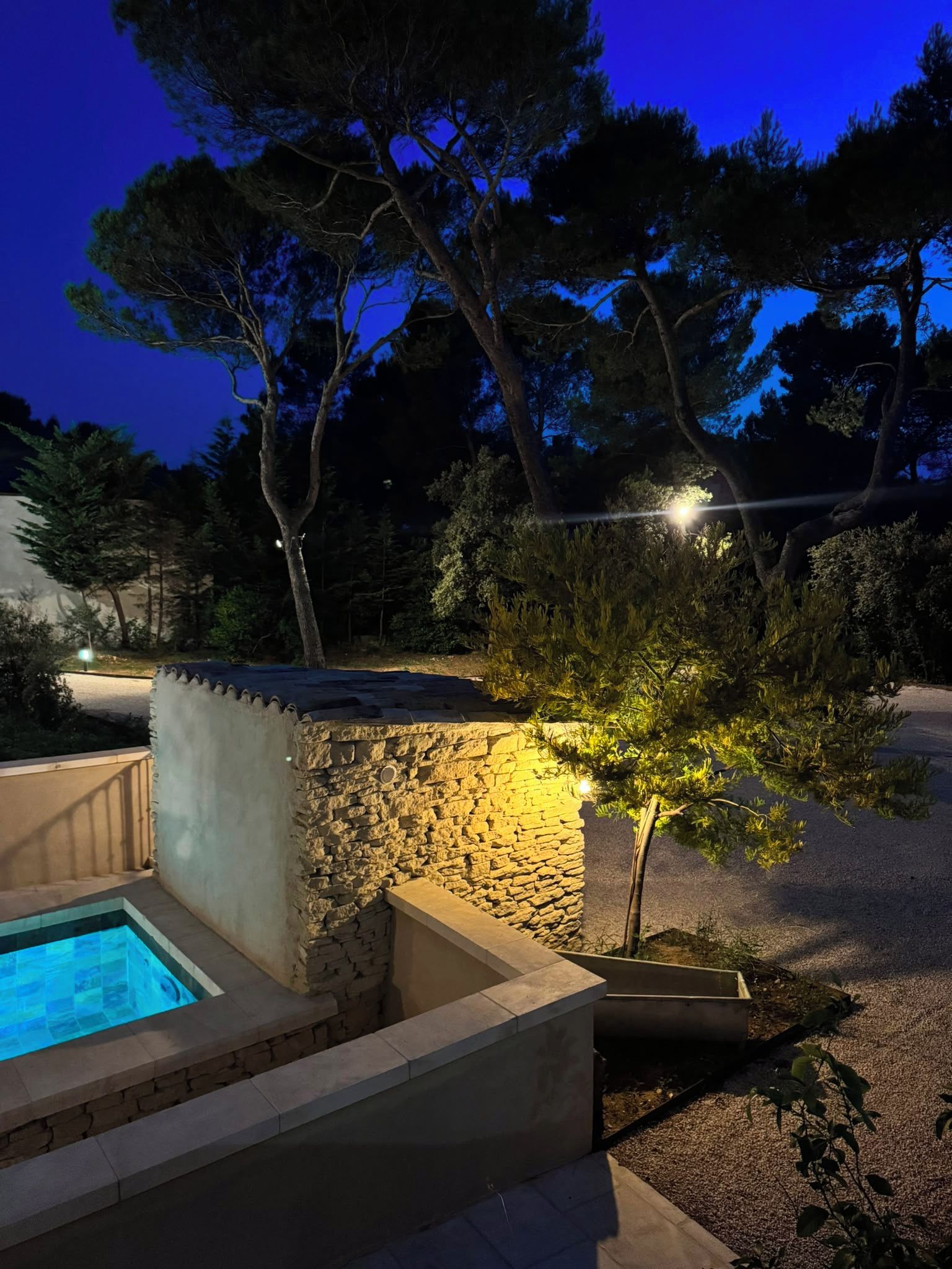 A stone pool with a stone wall and a small tree in a garden at night.
