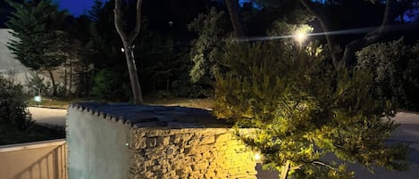 En stenpool med en stenmur och ett litet träd i en trädgård under natten.