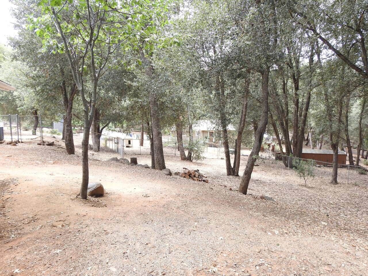 Un'area naturale all'aperto con alberi e terreno sterrato, probabilmente un campeggio o un parco.