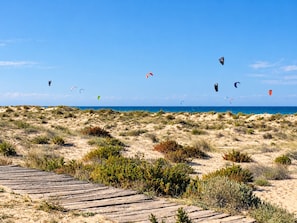 A sandy beach with a wooden boardwalk and kites flying in the sky. - Oliva Nova MET & Beach - Apartment for 4 people, 400 m from the beach and 50 MET from the Costa Blanca (VC)