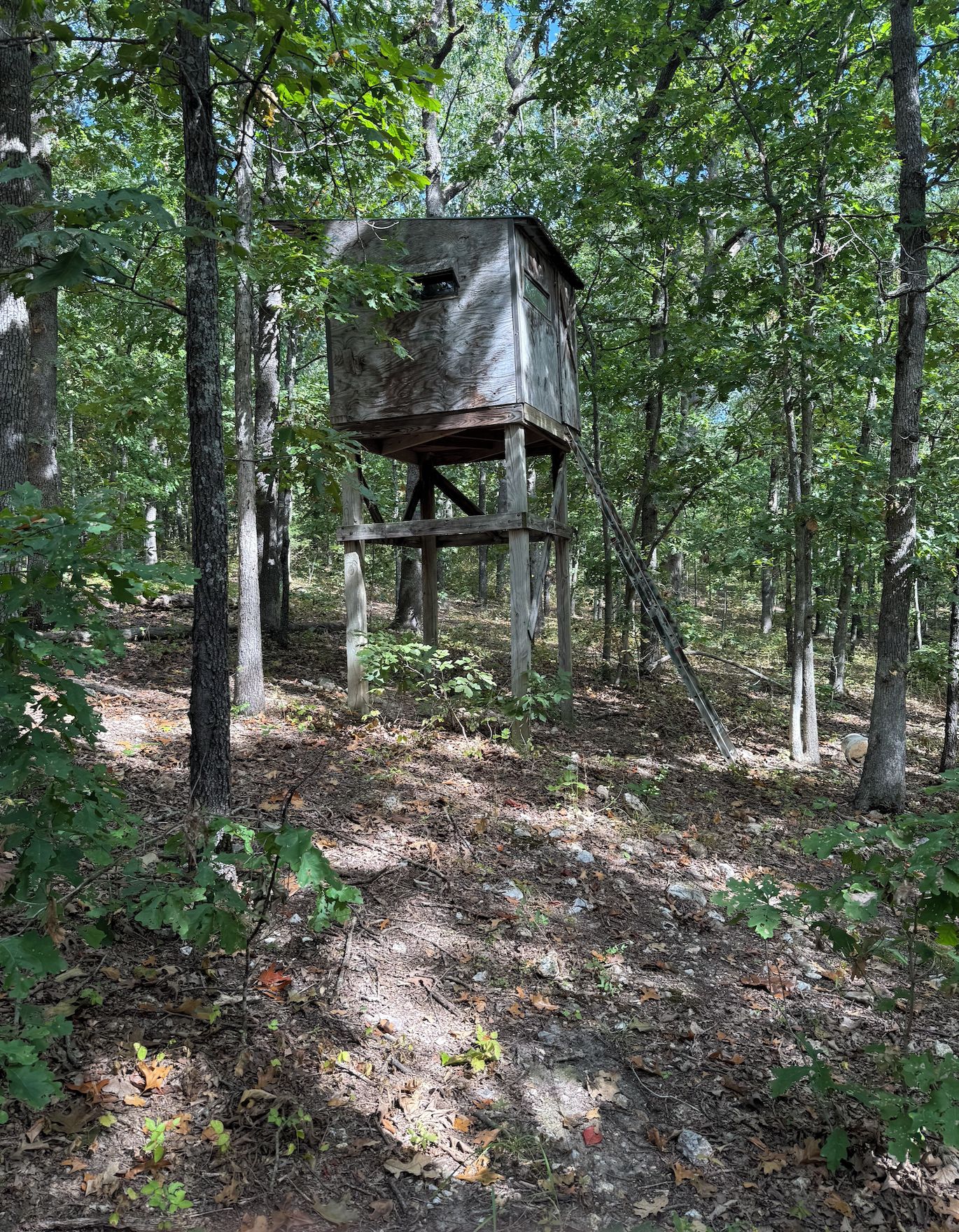 A wooden structure elevated on stilts in a forested area.