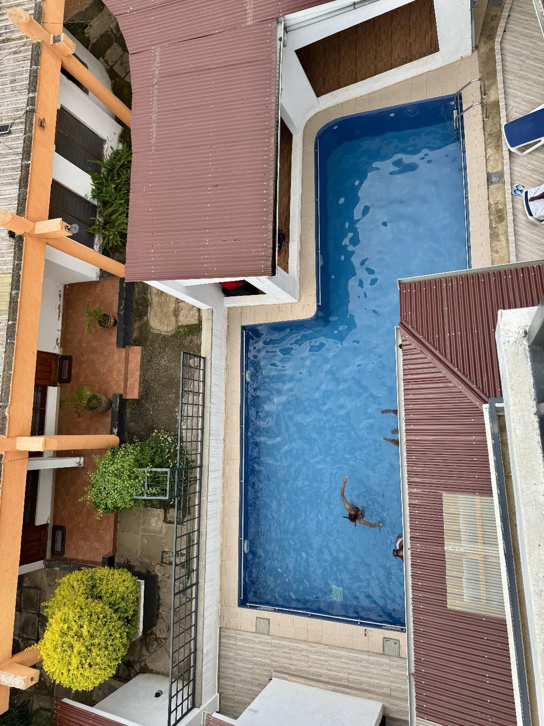 A rooftop swimming pool with two people swimming, surrounded by buildings with balconies and potted plants.