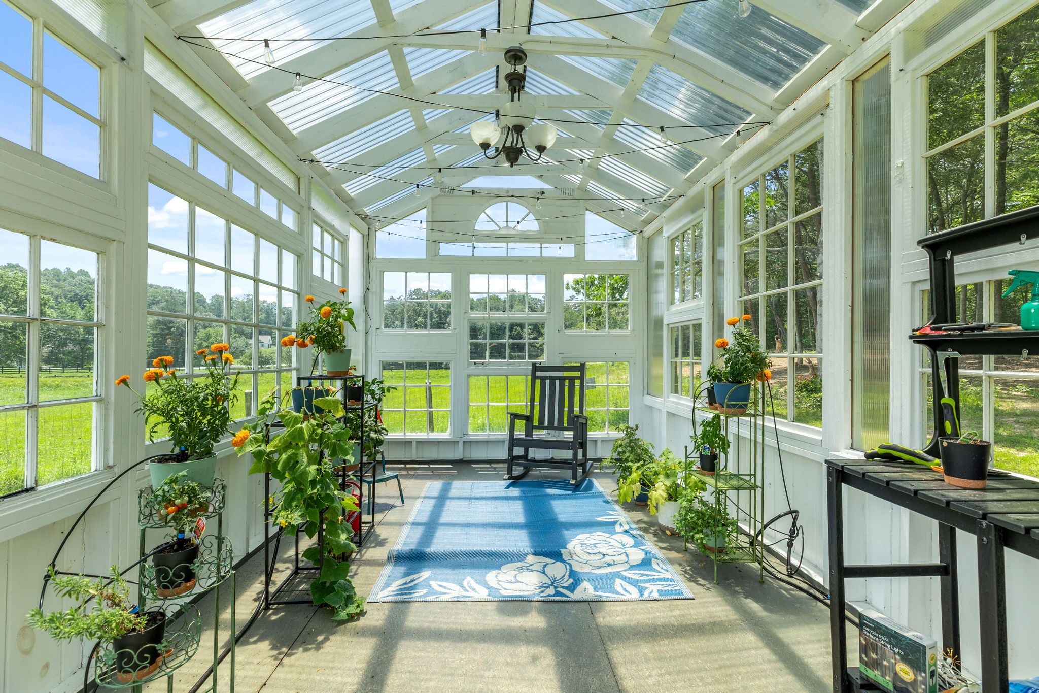 A conservatory with a glass ceiling, a blue patterned rug, and potted plants.