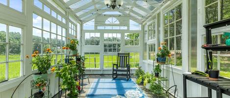 A conservatory with a glass ceiling, a blue patterned rug, and potted plants.
