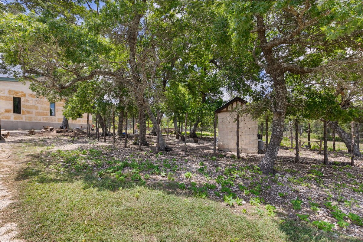 A rustic outdoor area with trees, a small building, and a stone wall.
