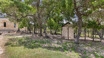 A rustic outdoor area with trees, a small building, and a stone wall.