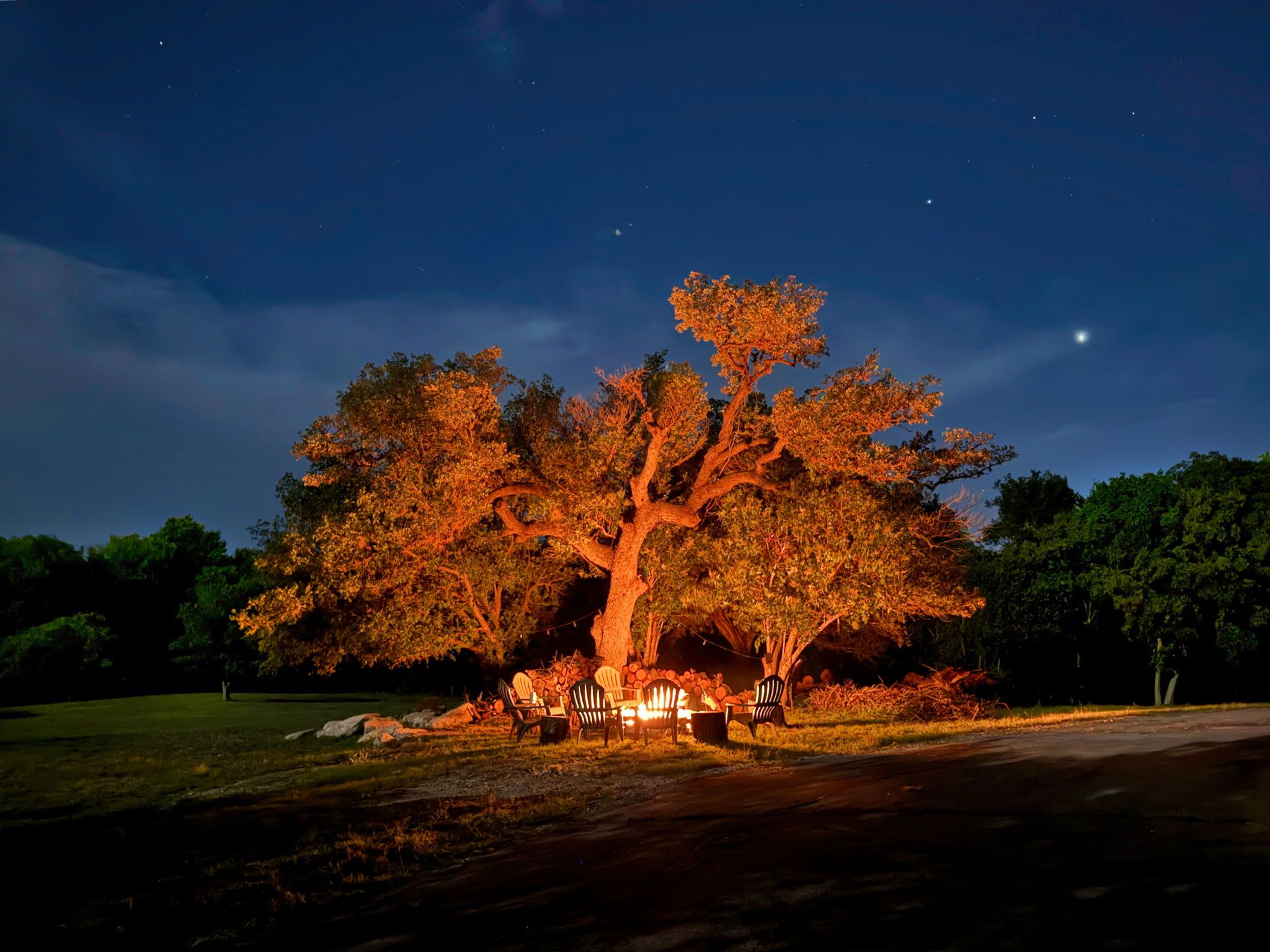 A large tree illuminated at night with chairs and a table under it.