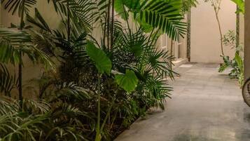 A corridor with a concrete floor, surrounded by lush green plants and trees.