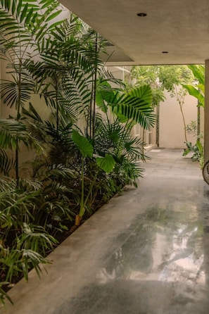 A corridor with a concrete floor, surrounded by lush green plants and trees. - Motul · 2 rec · 2 baños · Tina privada en rooftop (Mérida)