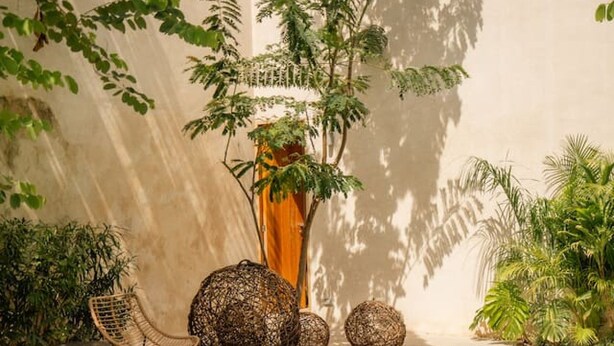 A pool area with lounge chairs and a large tree. - Maní · 1 rec · 1 baño · Terraza y alberca (Merida)