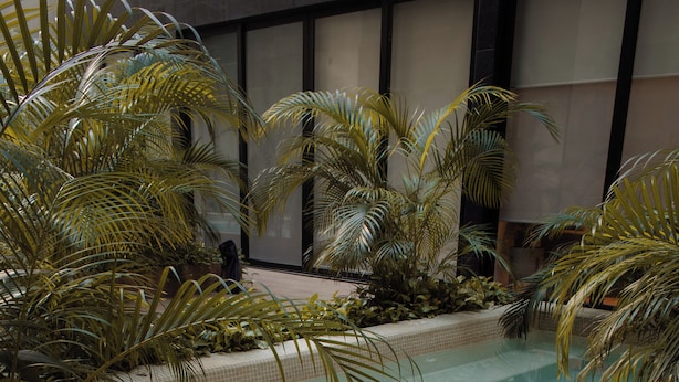 An indoor swimming pool with tiled edges, surrounded by palm plants. - Depa de lujo en Playa del carmen (Playa del Carmen)