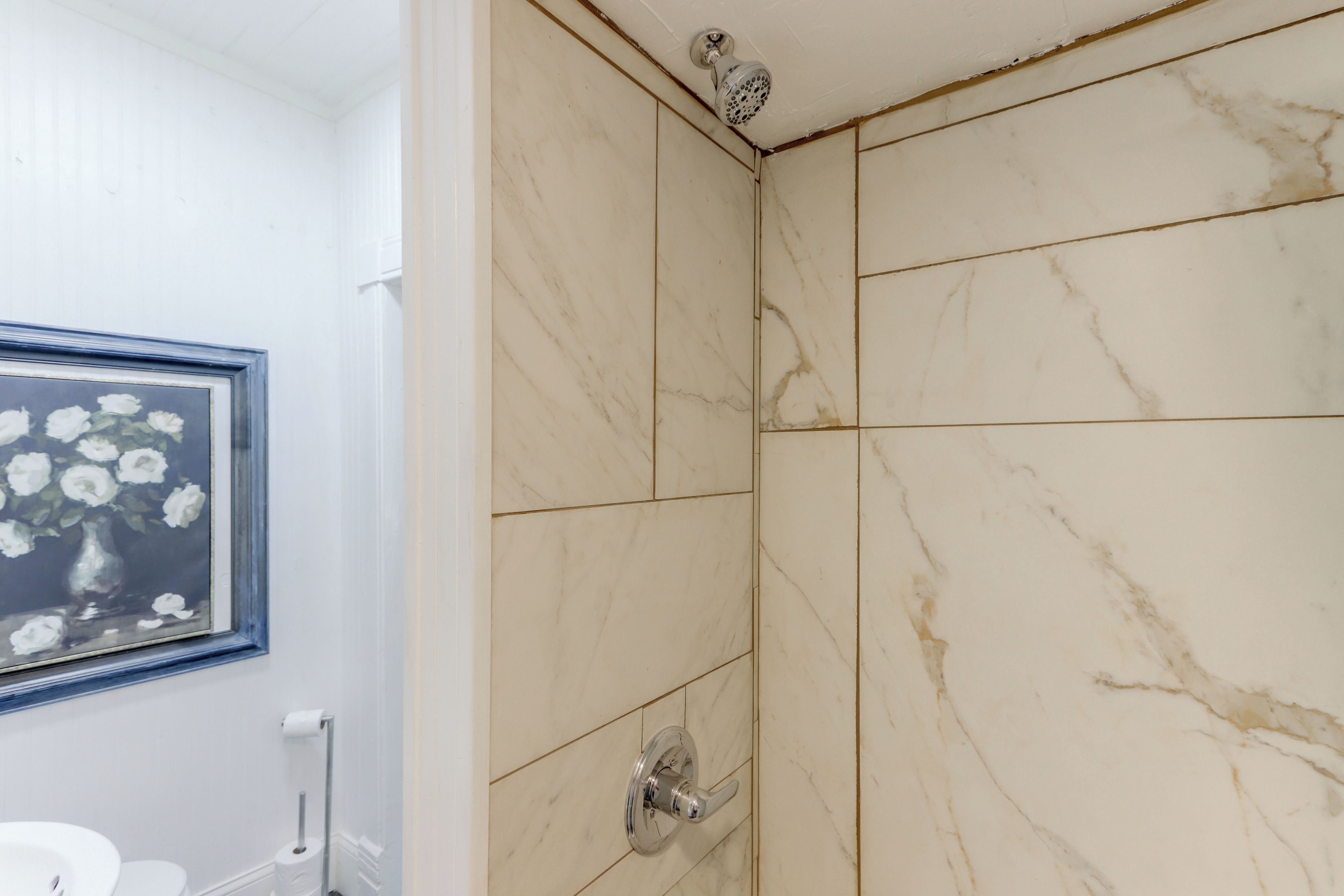Ein Badezimmer mit Dusche, Toilette und einem gerahmten Bild an der Wand.