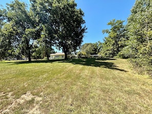 A grassy area with a single-story house and a large tree.