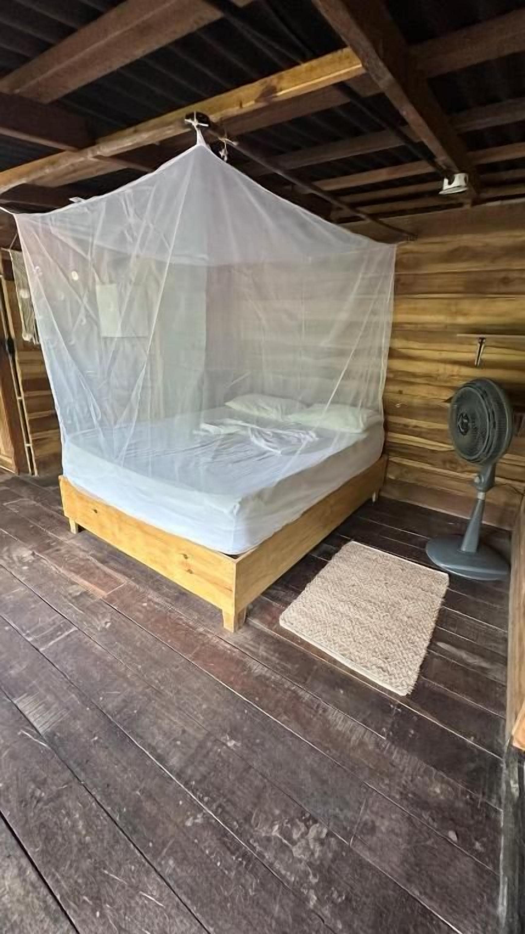 A wooden bed with a mosquito net, a small rug, and a wall-mounted radiator.