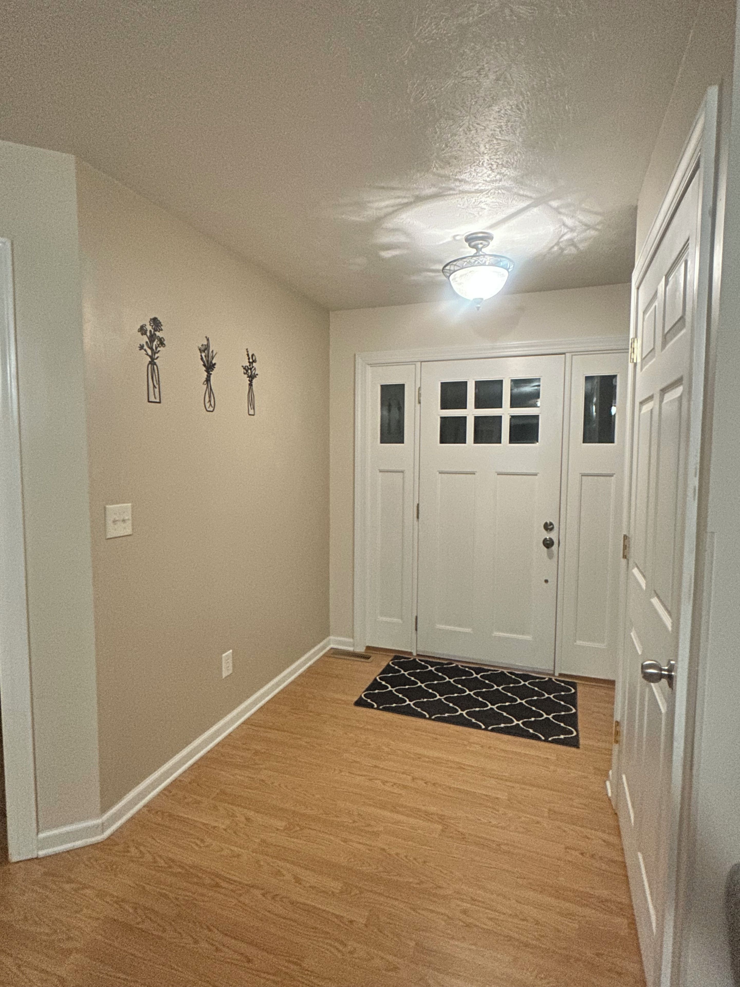 A hallway with a wooden floor, a white door with glass panels, and a black and white rug.