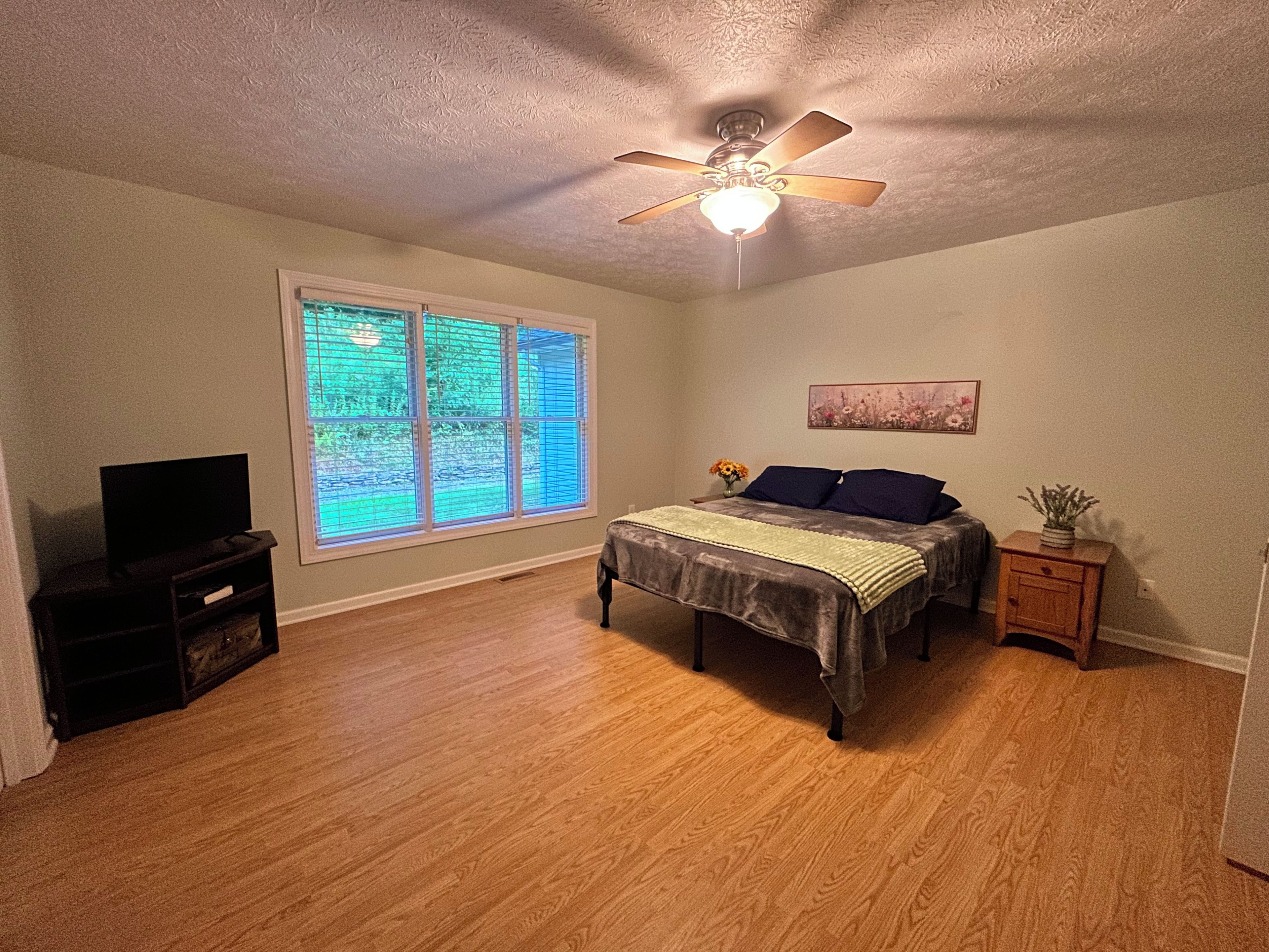 A bedroom with a bed, a ceiling fan, a window with blinds, a TV stand, and a nightstand with a plant.