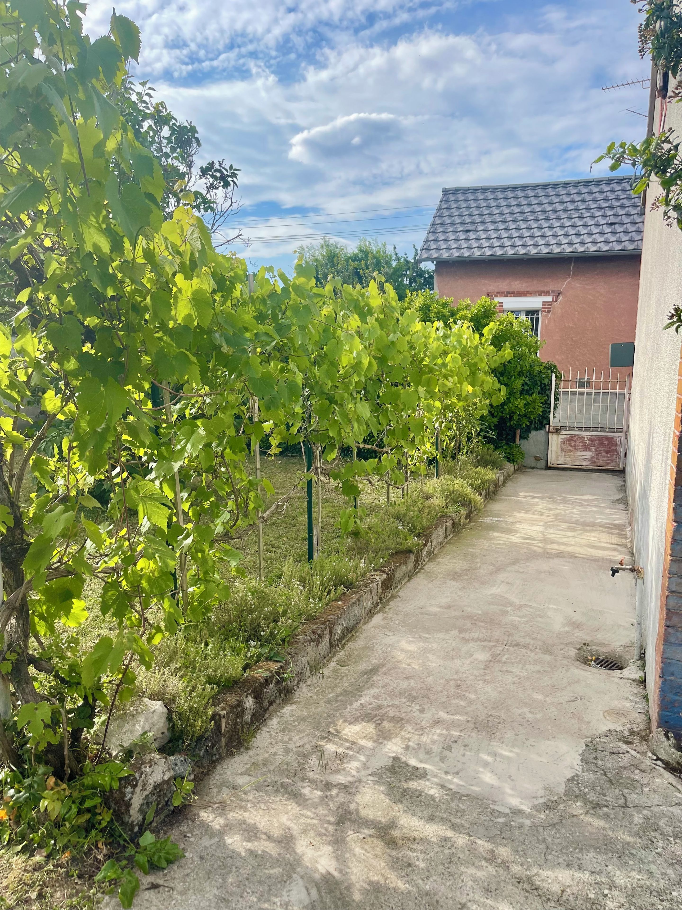 A pathway leading to a building with a tiled roof, surrounded by greenery and a fence.