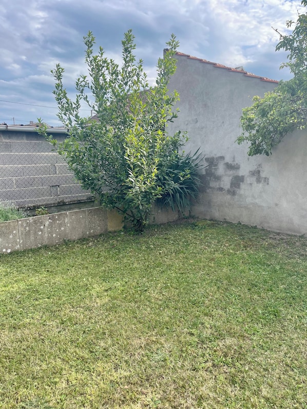 A grassy yard with a concrete wall and a tree.