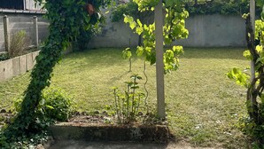 A garden with a concrete patio, a grassy lawn, and a wall in the background.