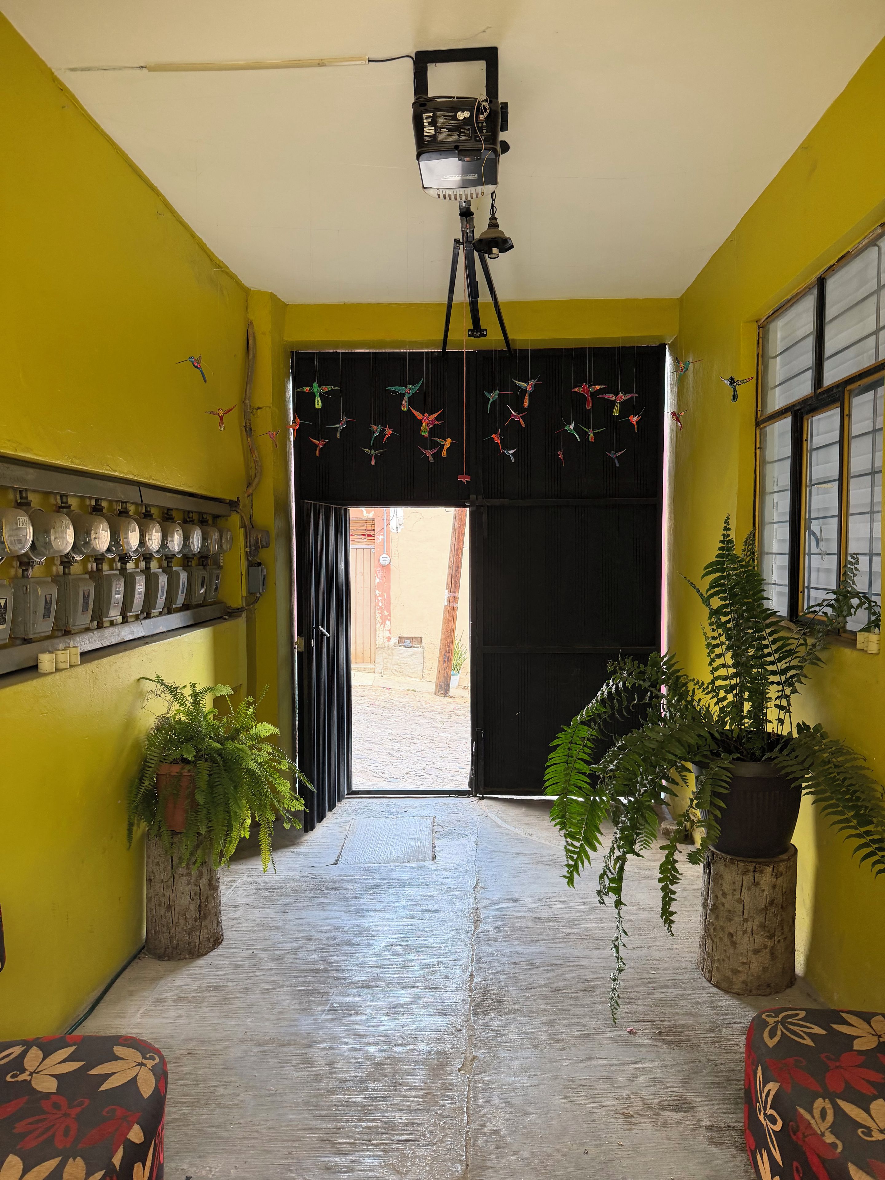 Un pasillo con pared amarilla, puerta negra y un proyector instalado en el techo. Hay plantas en macetas y un banco con estampado floral.