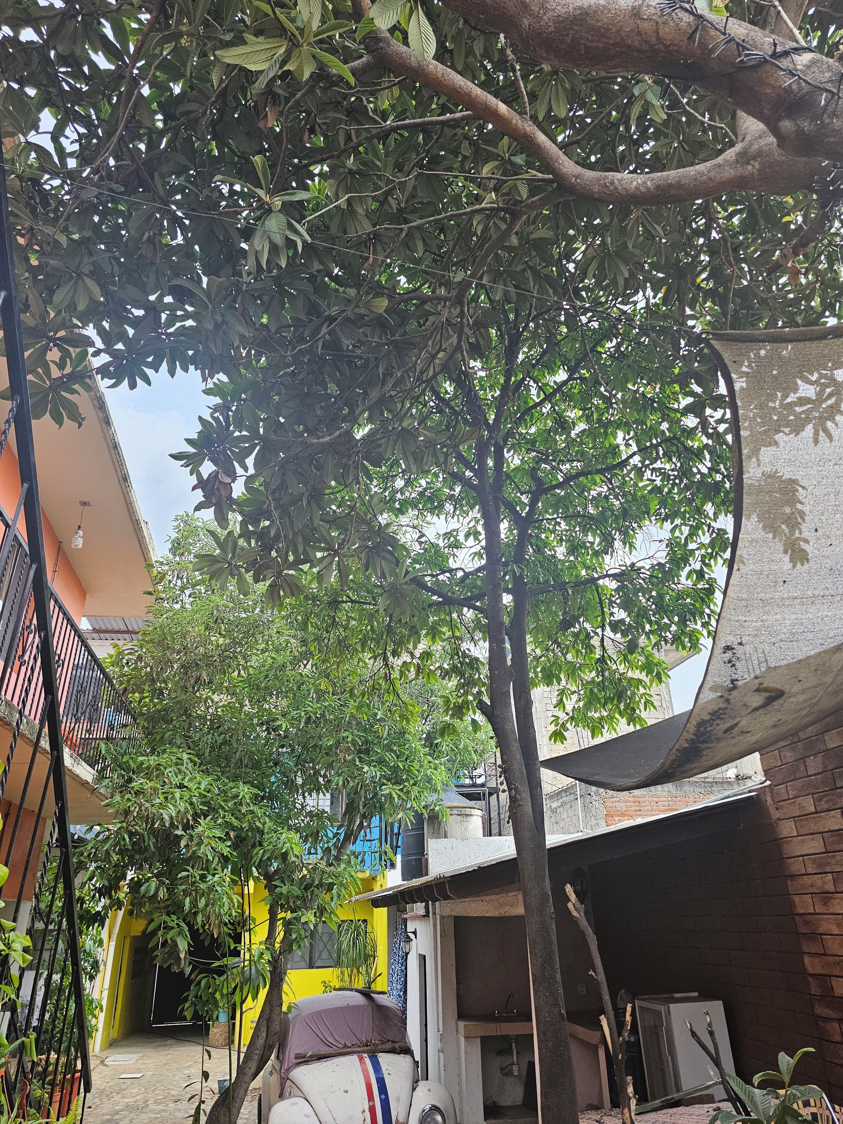 A courtyard with a tree, a parked vehicle, and a building with a yellow facade.