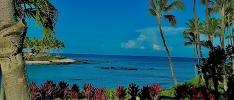 A pool area with a view of the ocean and palm trees.