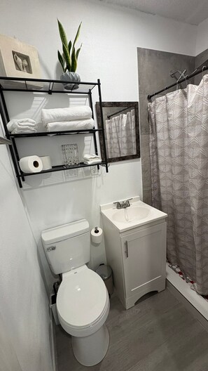 Bathroom - Lovely Tiny House in Tampa Town and Country. 1 or 2 people. Excellent Location. (Tampa)