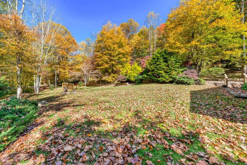 A park with trees, a bench, and a path covered with fallen leaves.